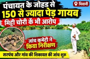 Bhiwani News Today: पंचायती जोहड़ से 150 से ज्यादा पेड़ गायब, मिट्टी चोरी का भी आरोप; जांच कमेटी ने किया निरीक्षण