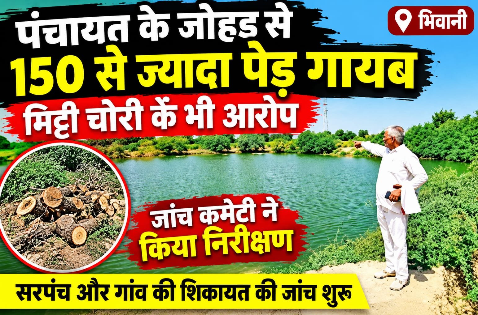 Bhiwani News Today: पंचायती जोहड़ से 150 से ज्यादा पेड़ गायब, मिट्टी चोरी का भी आरोप; जांच कमेटी ने किया निरीक्षण