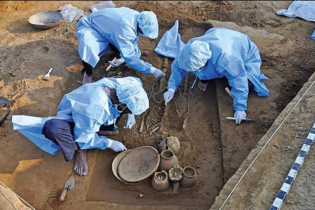 राखीगढ़ी महोत्सव में टीला नंबर सात के हड़प्पाकालीन कब्रिस्तान की जानकारी