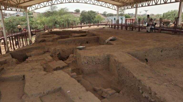 Indus Valley Civilization research and Rakhigarhi DNA study
