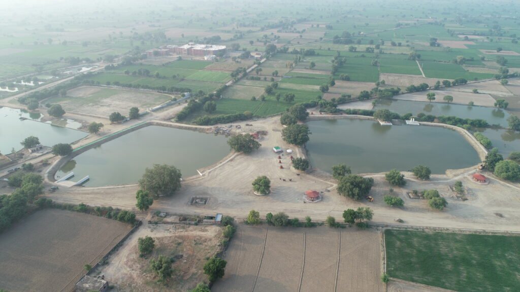 Rakhigarhi Compared to Harappa and Mohenjo-daro