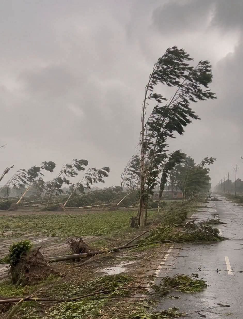 हिसार प्रदेश में सबसे गर्म रहा, आज से बारिश के आसार, Hisar Weather Update