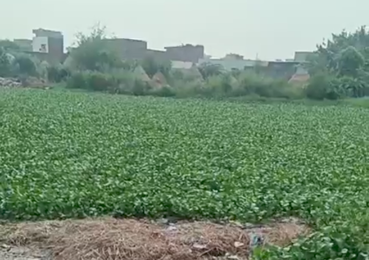 Haryana Weather Update: हरियाणा में बूंदाबांदी से गिरा तापमान, मौसम सुहावना होने से गर्मी से राहत