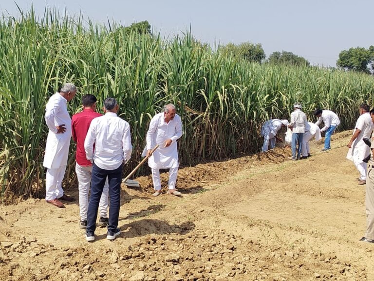 Randhir Panihar promotes organic farming in Hisar
