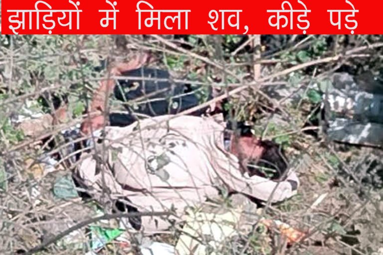 Fatehabad News Today: झाड़ियों में मिला लापता युवक का शव 
