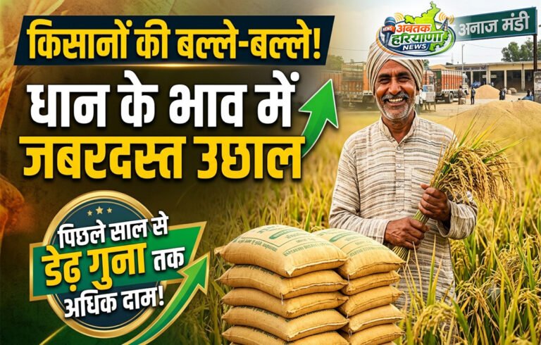 Haryana Paddy Rate: धान के भाव में भारी उछाल