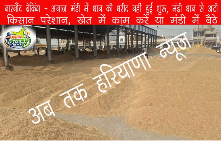 नारनौंद अनाज मंडी में धान खरीद शुरू नहीं, 45 हजार क्विंटल फसल जमा