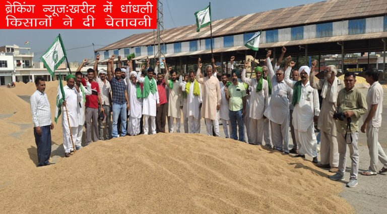 नारनौंद अनाज मंडी में खरीद में धांधली के आरोप, किसानों ने दी तालाबंदी की चेतावनी 
