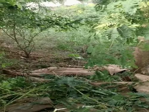 रेवाड़ी के लूला अहीर गांव में कार की टक्कर से 19 वर्षीय चेतन की मौत