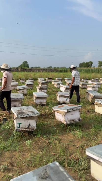 भावांतर भरपाई योजना का यूनिक नंबर